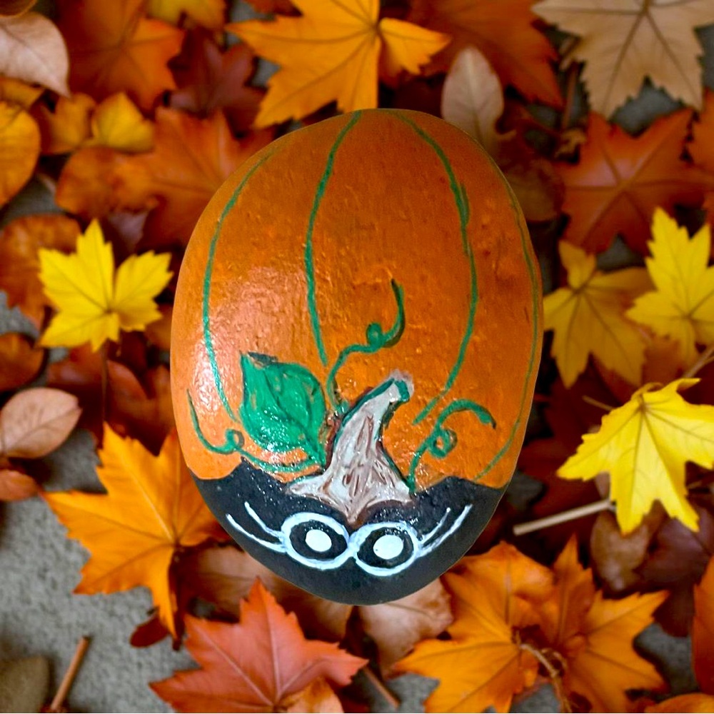 Hand crafted painted pumpkin bug rock orange black white green flat bottom stone